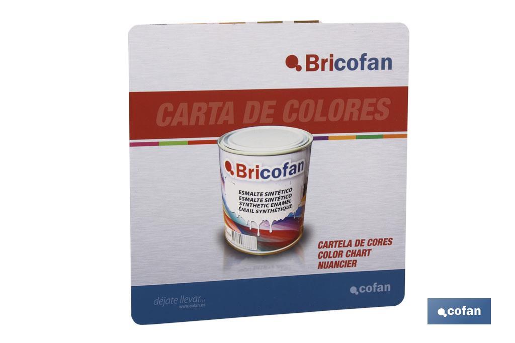 CARTA DE COLORES PINTURAS BRICOFAN (PACK: 1 UDS)