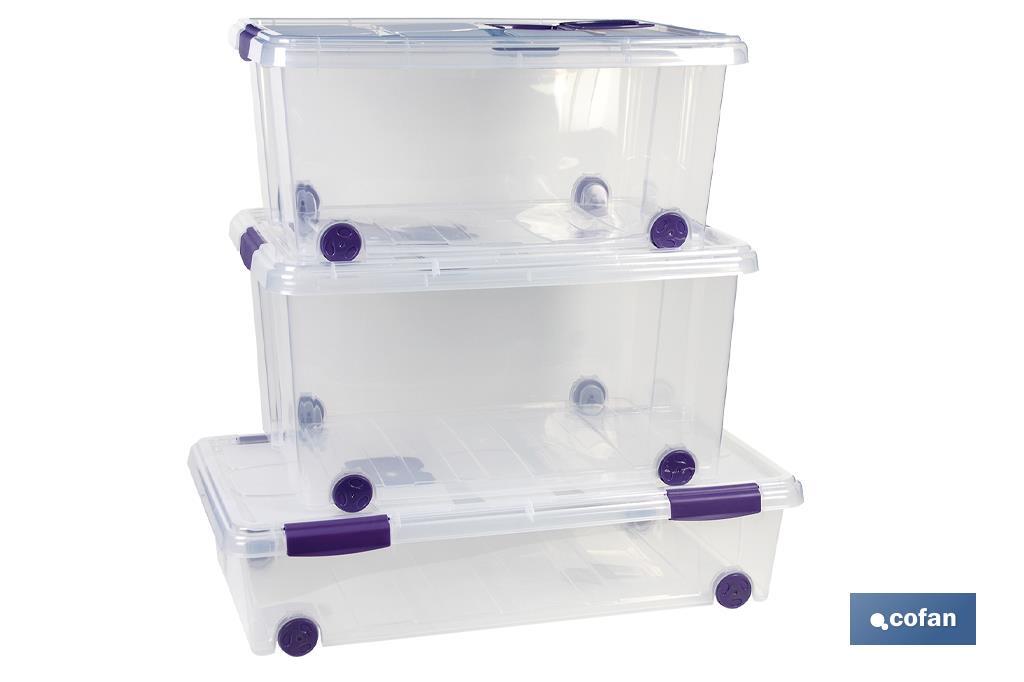 CAJA ORDENACION CON RUEDAS 36L MODELO RICORDI 59X40X25cm (PACK: 1 UDS)