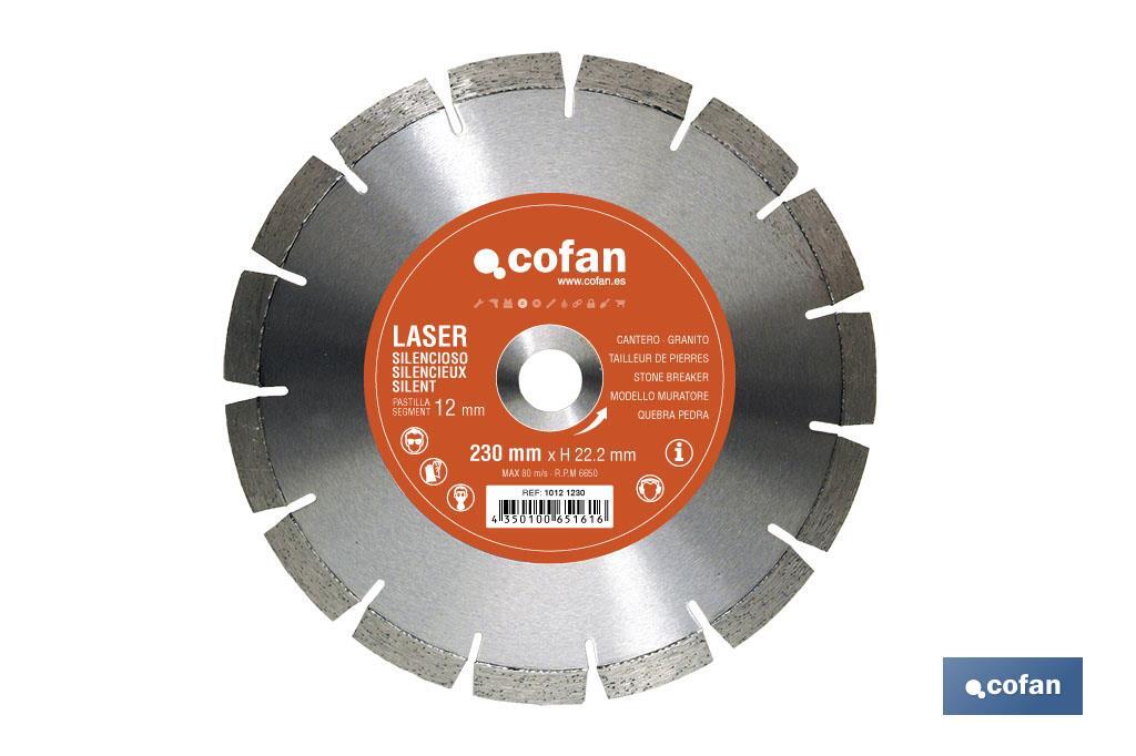 DISCO DIAMANTE CANTERO SILENCIOSO 300MM (PACK: 1 UDS) DISCO DIAMANTE CANTERO SILENCIOSO 300MM (PACK: 1 UDS)