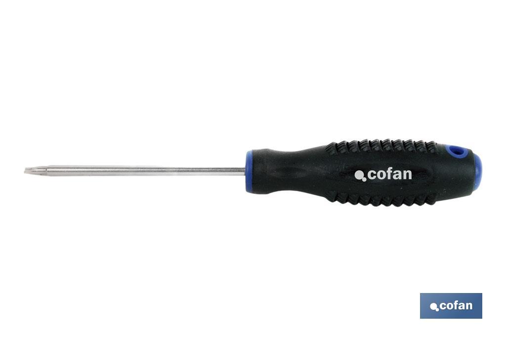 DESTORN. CR-MOLIBDENO SPANNER 6X100 (PACK: 1 UDS) DESTORN. CR-MOLIBDENO SPANNER 6X100 (PACK: 1 UDS)